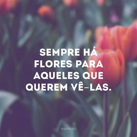 frases flores